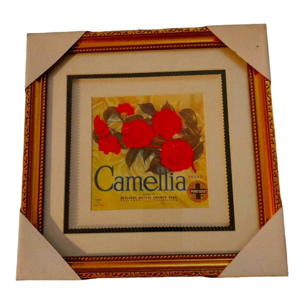 2 Orange Crate Framed Labels Camellia New. No bundling.